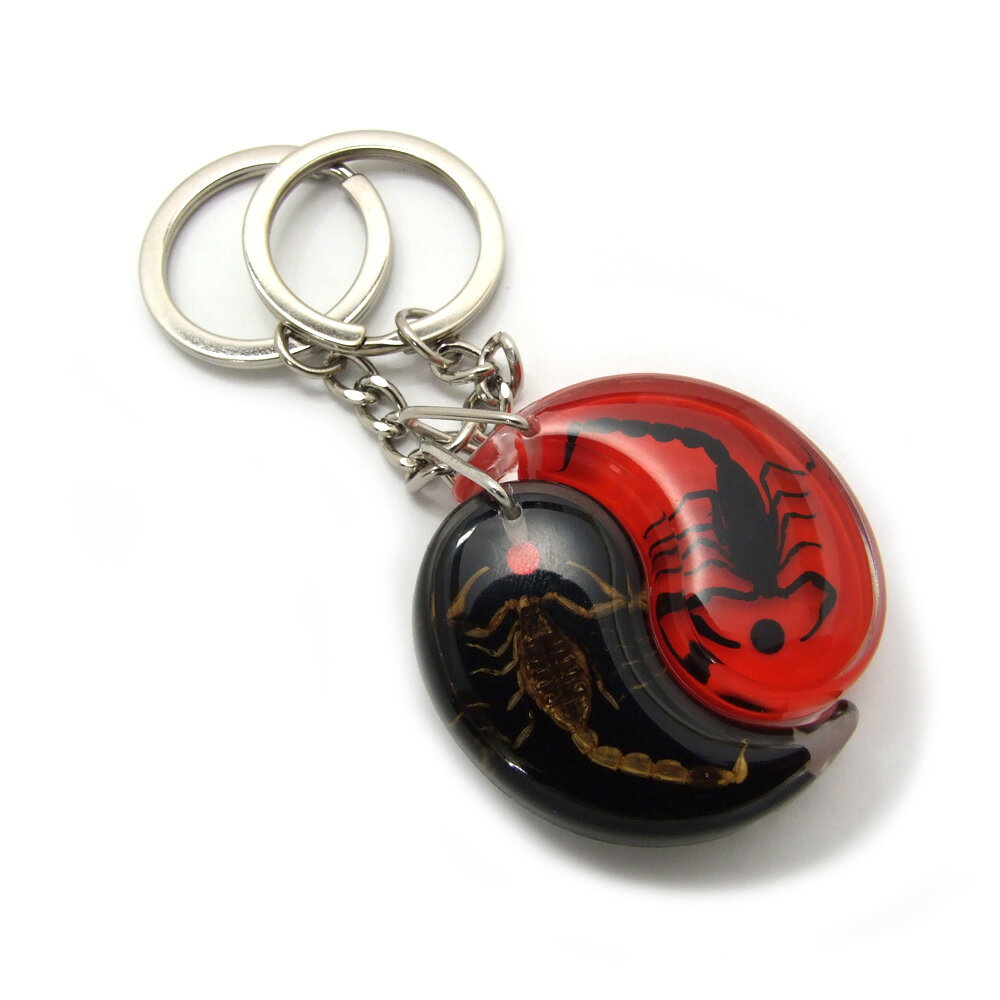 Insect Keyring【サソリ 陰陽セット 赤・黒 】DD1910 キーホルダー/昆虫/アクセサリーパーツ/ペンダントトップにも/ストラップ/海外雑貨/キーリング/キーチャーム/レジン/樹脂/イーアン/風水/…