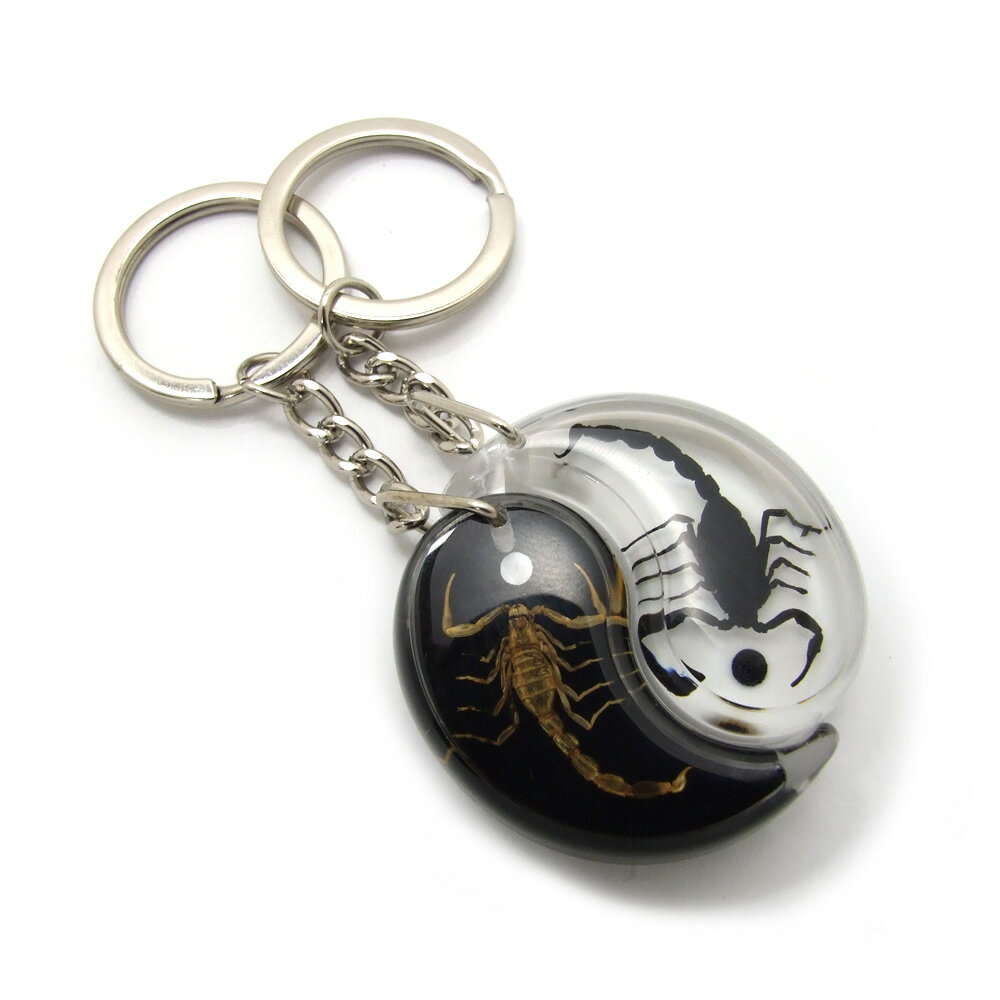 Insect Keyring【サソリ 陰陽セット 白・黒 】DD1920 キーホルダー/昆虫/アクセサリーパーツ/ペンダントトップにも/ストラップ/海外雑貨/キーリング/キーチャーム/レジン/樹脂/イーアン/風水/…