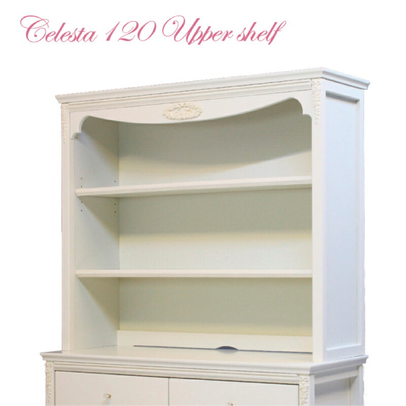 120uppershelf.jpg 120uppershelf.jpg