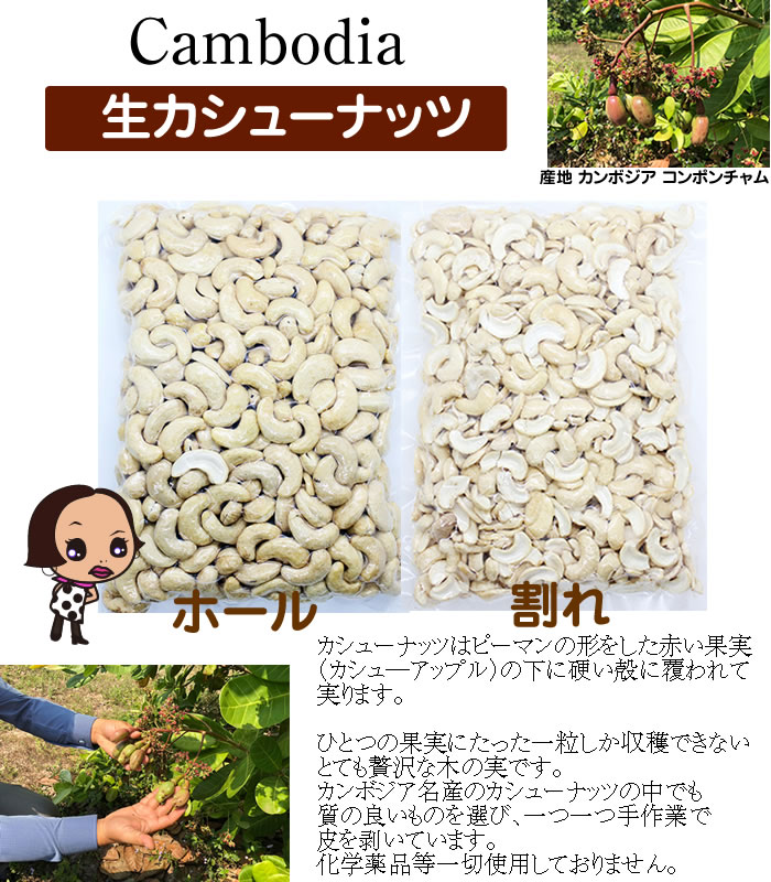 �ڳ�����(DRY)�����塼�ʥåġʤʤޡ������塼�ʤäġ�1kg����ڶ�̳�ѡۡڤ���������ġۡڤ��ۻҺ���