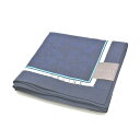 暑い日はお家でお買い物♪全品P10倍メール便対応OK【売れ筋】】【未使用ハンカチ】CELINEセリーヌハンカチ【ネイビー系】