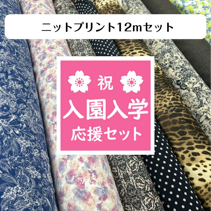 ◆ニットプリント12mセット◆ 送料無料 入園入学セット 2026 生地 素材 手芸 手作り ハンドメイド ハギレ 子供服 大人服 布小物 インテリア ニット 裏毛 スムース カットソー 福箱 ハッピーバッグ HAPPYBAG お楽しみ袋 大容量 入園 入学