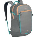 【送料無料】 オスプレーパック メンズ バックパック・リュックサック バッグ Axis 24L Pack Medium Grey/Coal Grey(4)