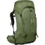 【送料無料】 オスプレーパック メンズ バックパック・リュックサック バッグ Atmos AG 50L Backpack Mythical Green