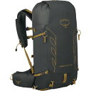 yz IXv[pbN Y obNpbNEbNTbN 30L obO Talon Velocity 30L Backpack - Men's Dark Charcoal/Tumbleweed Yellow