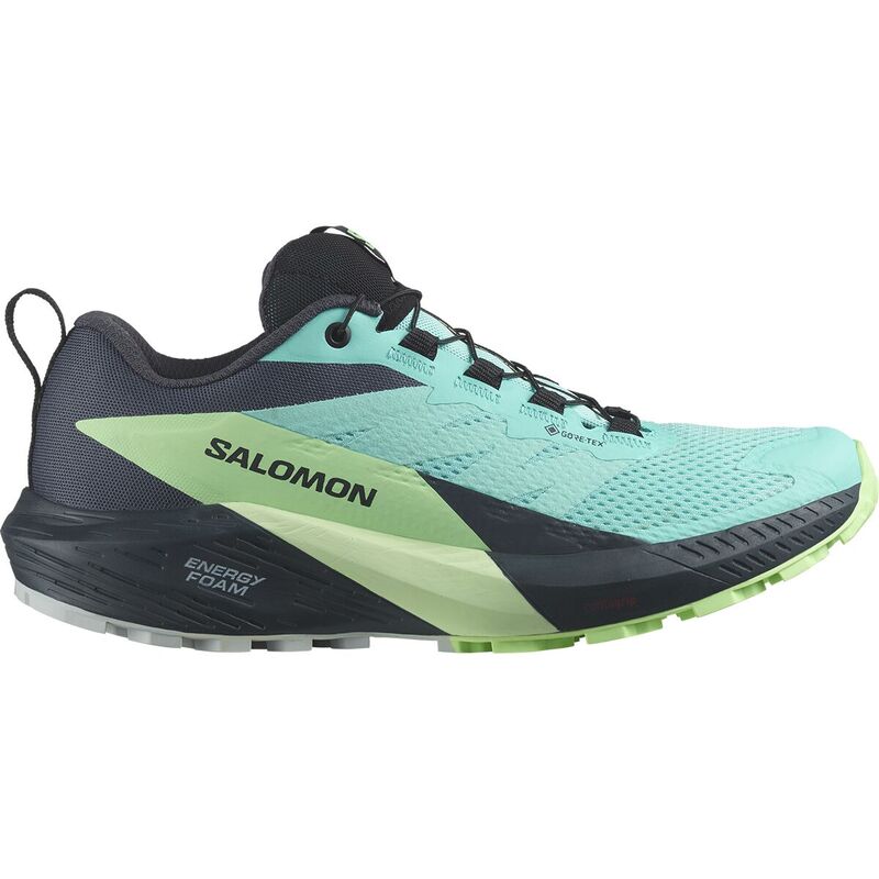 サロモン レディース シューズ スニーカー Salomon Sense Ride 5 GTX Trail Running Shoe - Women's Bl..