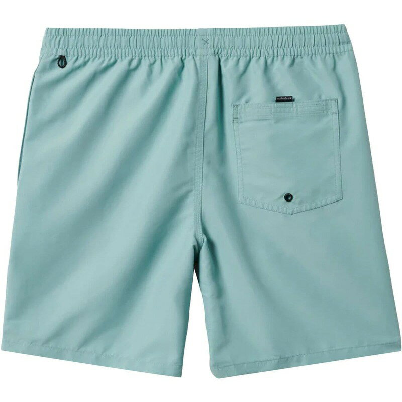 【送料無料】 クイックシルバー メンズ ハーフパンツ・ショーツ 水着 Everyday Solid Volley 17 NB Short - Men's Black