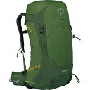 【送料無料】 オスプレーパック メンズ バックパック・リュックサック バッグ Stratos 44L Backpack Seaweed/Matcha Green