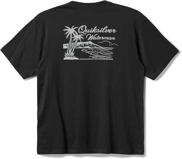 【送料無料】 クイックシルバー メンズ Tシャツ トップス Quiksilver Men's Waterman Island Man Screen T-Shirt Phantom