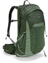 【送料無料】 オスプレー メンズ バックパック・リュックサック バッグ Osprey Talon 22 Daypack Green Canopy/Pine Leaf|詳細画像