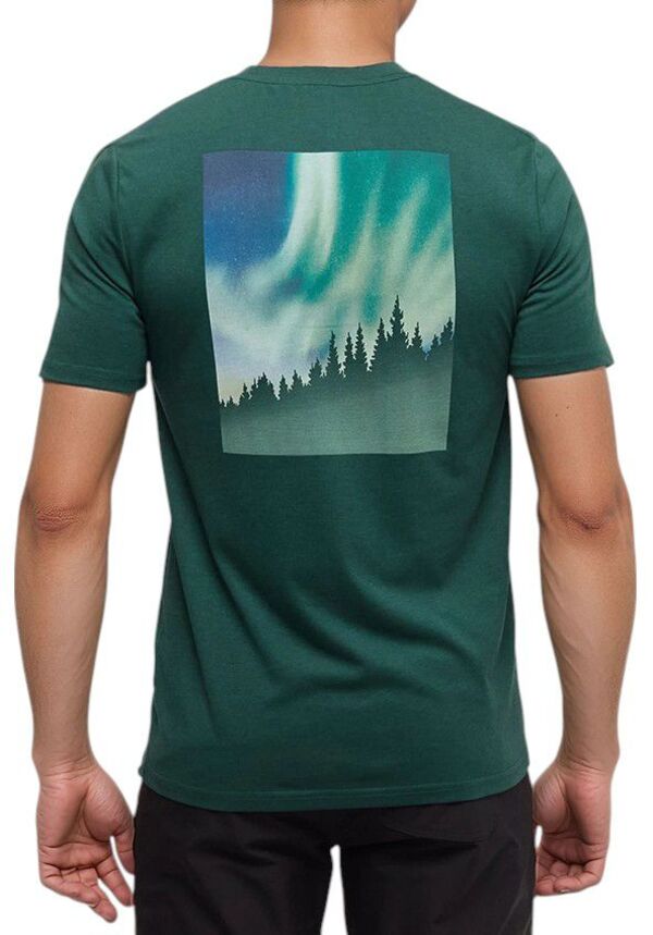 【送料無料】 テンツリー メンズ Tシャツ トップス Tentree Men's Northern Aurora T-Shirt Forest Pin..