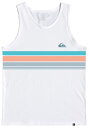 【送料無料】 クイックシルバー メンズ タンクトップ トップス Quiksilver Men's Everyday Strip Tank White