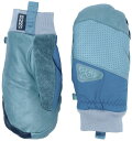 【送料無料】 アウトドアリサーチ レディース 手袋 アクセサリー Outdoor Research Snowcrew Leather Mitts Neptune...