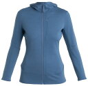 【送料無料】 アイスブレーカー レディース パーカー・スウェット アウター icebreaker Women's Merino 260 Quantum IV L...