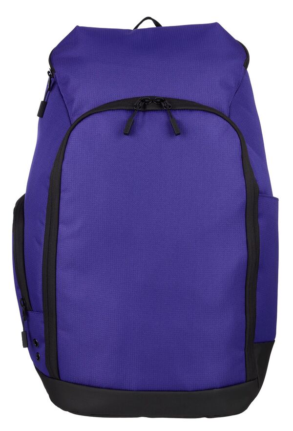 楽天ReVida 楽天市場店【送料無料】 DSG メンズ バックパック・リュックサック バッグ DSG Sport Backpack Team Purple