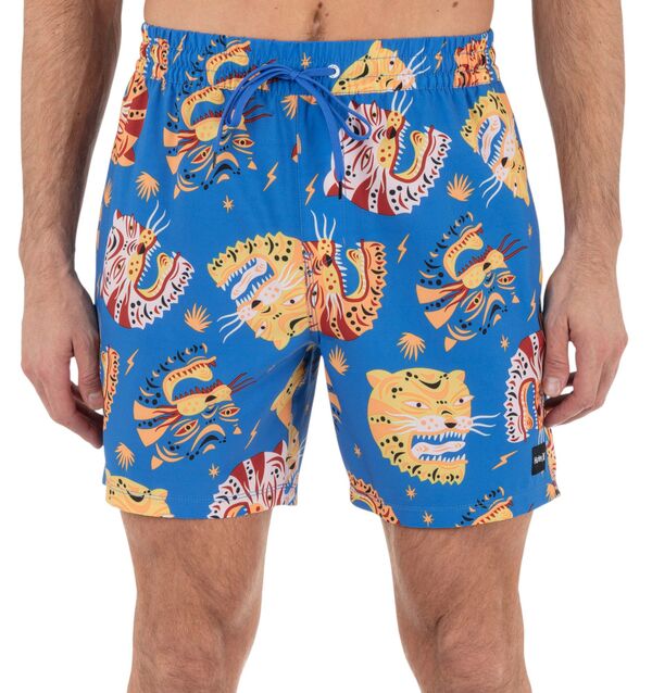 【送料無料】 ハーレー メンズ ハーフパンツ・ショーツ 水着 Hurley Men's Cannonball Volley Kingdom Blue