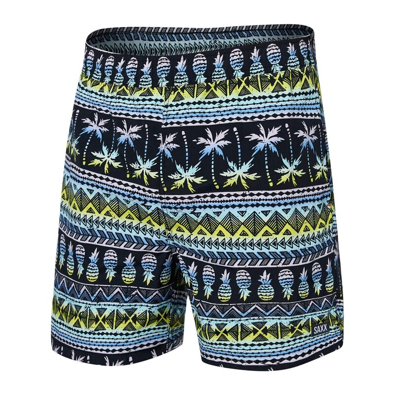 【送料無料】 サックスアンダーウェアー メンズ ハーフパンツ・ショーツ 水着 Go Coastal 2-N-1 5" Volley Pina Stripe/Bla