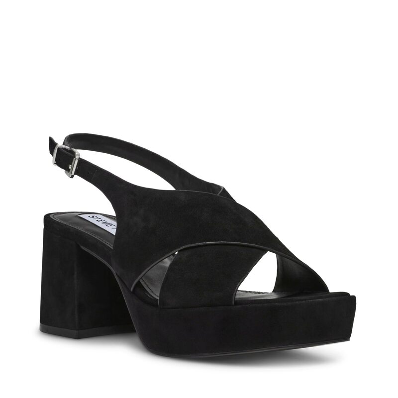 【送料無料】 スティーブ マデン レディース ヒール シューズ Marino Black Suede