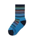 【送料無料】 ダーンタフバーモント メンズ 靴下 アンダーウェア Zebra Canyon Micro Crew Lightweight with Cushio...
