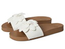 【送料無料】 ロキシー レディース 靴下 アンダーウェア Flower Girl Smooth White(4)
