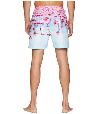 オールバー ブラウン メンズ ハーフパンツ・ショーツ スイムウェア Bulldog Photographic Flamingos Swim Shorts Flocking About