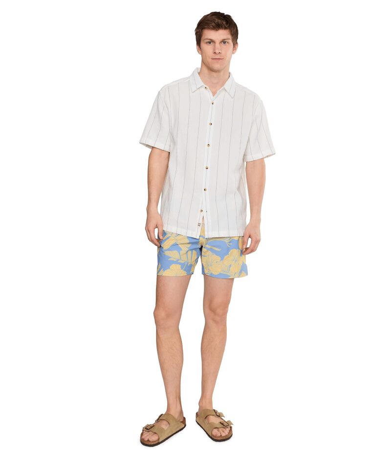 ReVida 楽天市場店のチャビーズ メンズ 水着 ハーフパンツ・ショーツ Chubbies The Gold Coasts 5.5