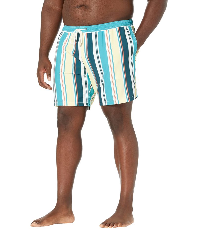 ˡ ӥå  ϡեѥġ硼  Big & Tall Cabana Stripe Stretch Swim Shor...