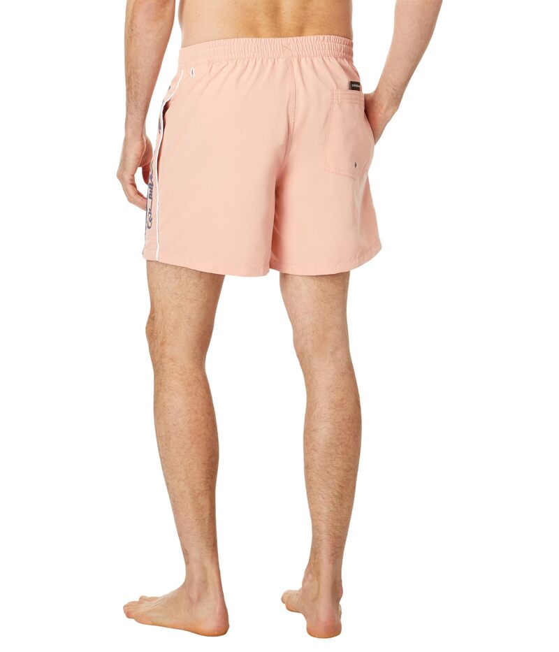 【送料無料】 クイックシルバー メンズ ハーフパンツ・ショーツ 水着 Everyday Vert 16" Volley Dusty Pink