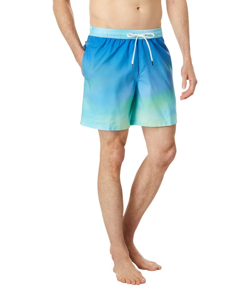 【送料無料】 クイックシルバー メンズ ハーフパンツ・ショーツ 水着 Everyday Breeze 17" Volley River Blue