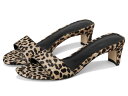 【送料無料】 スティーブ マデン レディース ヒール シューズ Patsy Leopard