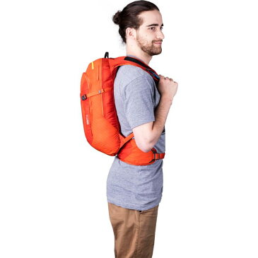 グレゴリー メンズ バックパック・リュックサック バッグ Drift 14 H2O Hydration Pack Citron Orange