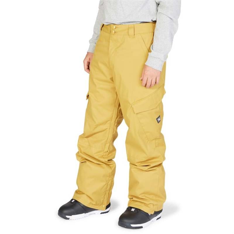 【送料無料】 ディーシー メンズ カジュアルパンツ ボトムス DC Banshee Pants Bronze Mist