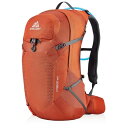 【送料無料】 グレゴリー メンズ バックパック・リュックサック バッグ Gregory Citro 30 H2O Plus Size Backpack Spark Orange