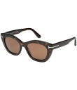 【送料無料】 トム・フォード レディース サングラス・アイウェア アクセサリー Women's Linda 53mm Havana Butterfly Sunglasses Shiny Classic Dark Havana/Warm Brown