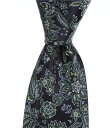 【送料無料】 ダニエル クレミュ メンズ ネクタイ アクセサリー Autrey Persian 3 1/8 Woven Silk Tie Green