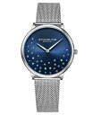 yz XgD[O fB[X rv ANZT[ Women's Silver Tone Mesh Stainless Steel Bracelet Watch 38mm Silver