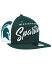 ̵ ˥塼  ˹ ꡼ Men's Green Michigan State Spartans Outright 9FIFTY Snapback Hat Green