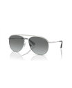 【送料無料】 スワロフスキー レディース サングラス・アイウェア アクセサリー Women's Sunglasses Gradient SK7005 Silve...