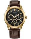 yz V`Y Y rv ANZT[ Eco-Drive Men's Rolan Brown Leather Strap Watch 40mm Brown