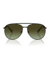 【送料無料】 スワロフスキー レディース サングラス・アイウェア アクセサリー Women's Sunglasses Gradient SK7005 Black 2