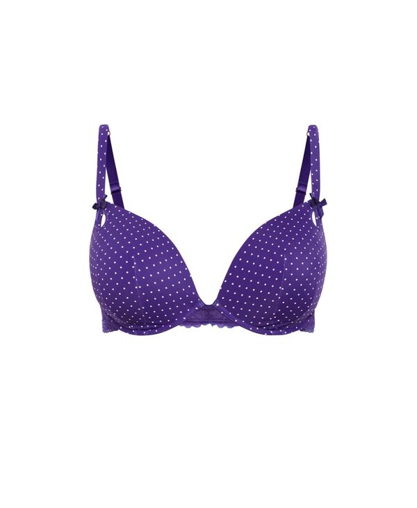 【送料無料】 シティーシック レディース ブラジャー アンダーウェア Plus Size Mounia Push Up Print Bra Purple spot