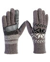 【送料無料】 アイソトナー レディース 手袋 アクセサリー Women's Chenille Snowflake Touchscreen Gloves Ash