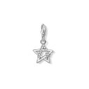 yz g[}XT{ fB[X lbNXE`[J[Ey_ggbv ANZT[ THOMAS SABO Star Charm Silver