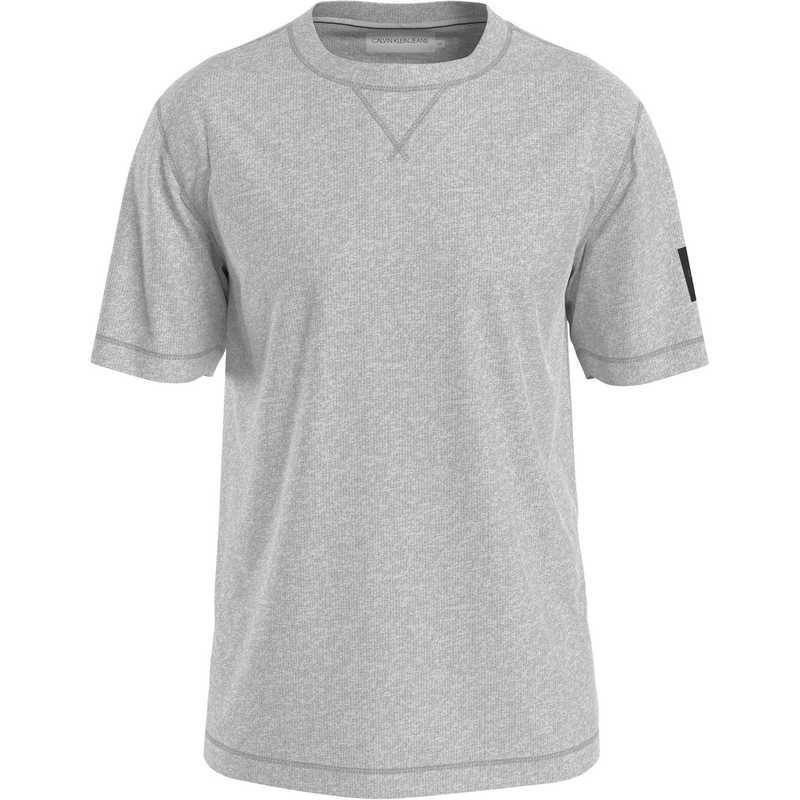 ̵ Х󥯥饤  T ȥåץ Badge T-Shirt Lt Grey P01