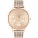 【送料無料】 カルバンクライン レディース 腕時計 アクセサリー Ladies Calvin Klein Mesh Watch CG