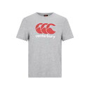 【送料無料】 カンタベリー メンズ Tシャツ トップス Large Logo T Shirt Mens Grey