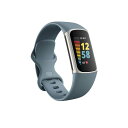 yz tBbgrbg fB[X rv ANZT[ FitBit Charge 5,Platinum/Mineral Blue Electronics