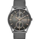 yz XJ[Q Y rv ANZT[ Skagen Holst Tan Leather Watch Grey