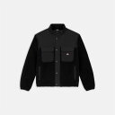 【送料無料】 ディッキーズ メンズ パーカー・スウェット アウター Dickies Pnesdale Flc Sn51 Black