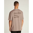 【送料無料】 カルバンクライン メンズ Tシャツ トップス WASHED PUFF PRINT TEE Taupe Grey(4)